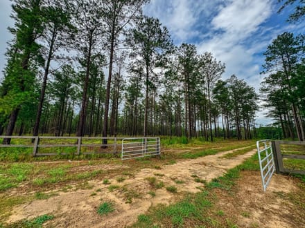 1 Acre Parcel minutes from Auburn City Limits Pine Ridge lot 12