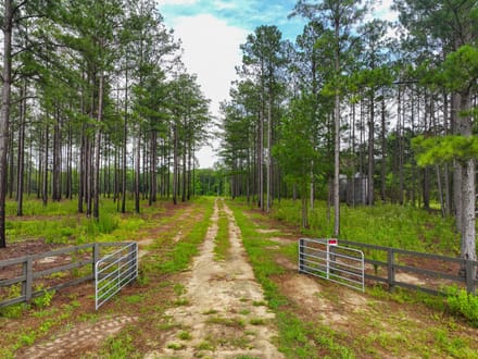 1 Acre Parcel minutes from Auburn City Limits Pine Ridge lot 12