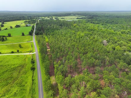 1 Acre Parcel minutes from Auburn City Limits Pine Ridge lot 12