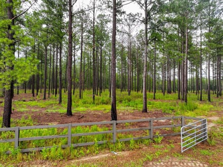 1 Acre Parcel minutes from Auburn City Limits Pine Ridge lot 12