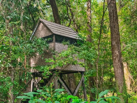 15 Acre Beautiful Wooded Property Minutes from Auburn