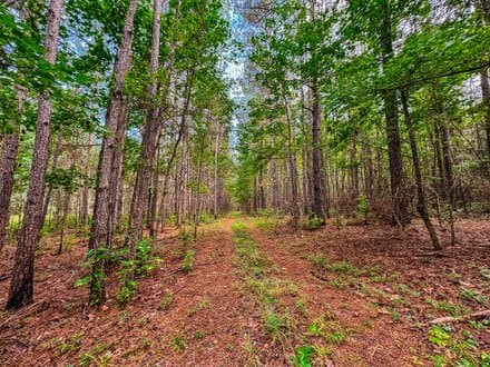 15 Acre Beautiful Wooded Property Minutes from Auburn
