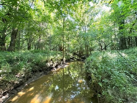 Beautiful Pike Road 7 Acre Lot on a Quiet Street