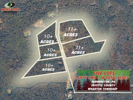 Dinner Bell Rd. (Parcel 3) 10+/- Acres