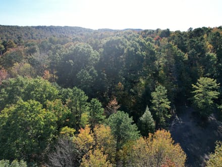 Dinner Bell Rd. (Parcel 3) 10+/- Acres