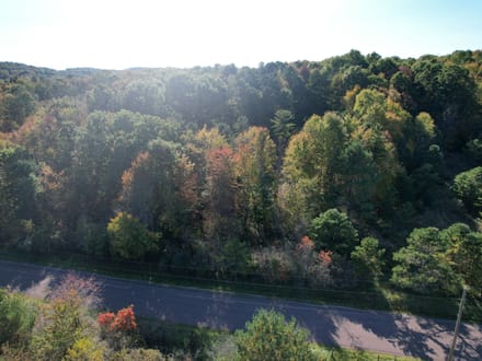 Dinner Bell Rd. (Parcel 3) 10+/- Acres