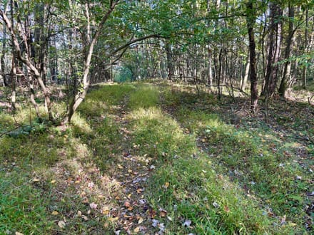 Dinner Bell Rd. (Parcel 3) 10+/- Acres