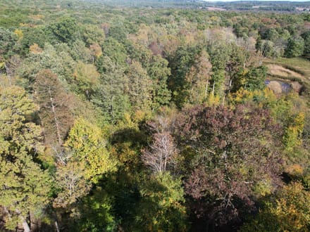 Dinner Bell Rd. (Parcel 4) 11+/- Acres