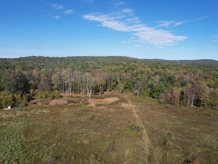 Dinner Bell Rd. (Parcel 4) 11+/- Acres