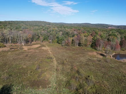 Dinner Bell Rd. (Parcel 4) 11+/- Acres