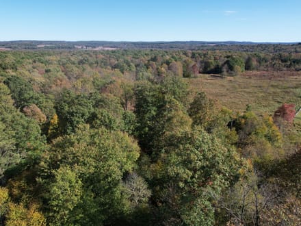 Dinner Bell Rd. (Parcel 4) 11+/- Acres