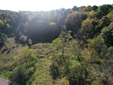 Dinner Bell Rd. (Parcel 2) 10+/- Acres