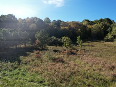 Dinner Bell Rd. (Parcel 2) 10+/- Acres
