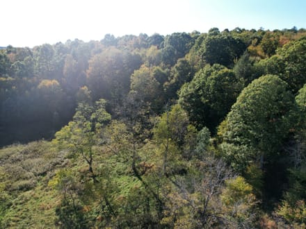 Dinner Bell Rd. (Parcel 2) 10+/- Acres