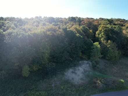 Dinner Bell Rd. (Parcel 1) 10+/- Acres
