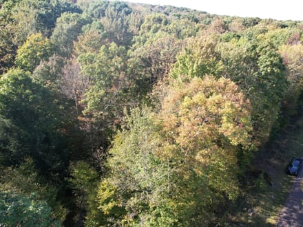 Dinner Bell Rd. (Parcel 1) 10+/- Acres