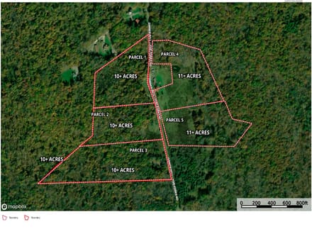 Dinner Bell Rd. (Parcel 5) 11+/- Acres