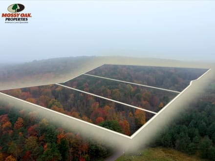 Dinner Bell Rd. (Parcel 1) 10+/- Acres