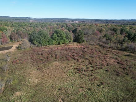 Dinner Bell Rd. (Parcel 5) 11+/- Acres