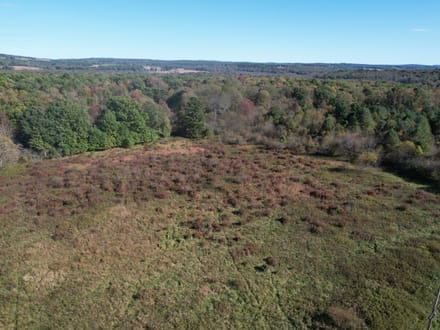 Dinner Bell Rd. (Parcel 5) 11+/- Acres