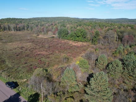 Dinner Bell Rd. (Parcel 5) 11+/- Acres