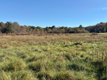 Dinner Bell Rd. (Parcel 5) 11+/- Acres