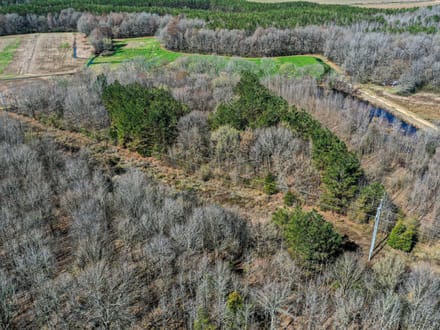 The Bruce Honey Hole 21.5 Acres 