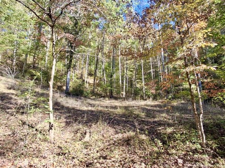 9.53+/- Acres on East Sunset Road In Macon County!