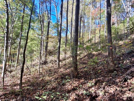 9.53+/- Acres on East Sunset Road In Macon County!