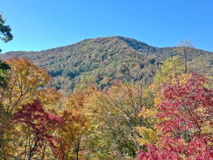 9.53+/- Acres on East Sunset Road In Macon County!