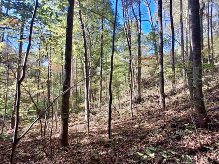 9.53+/- Acres on East Sunset Road In Macon County!
