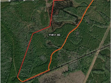 114+/- Acres Land for Sale in Clinch County, GA