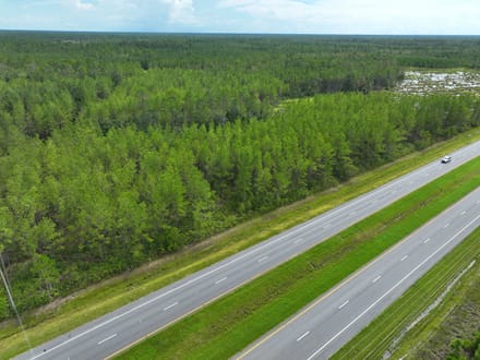 114+/- Acres Land for Sale in Clinch County, GA