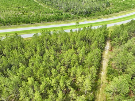 114+/- Acres Land for Sale in Clinch County, GA