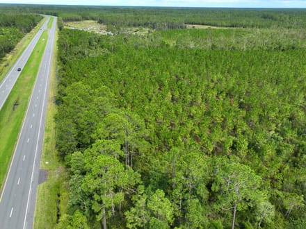 100+/- Ac Recreational Tract in Clinch County