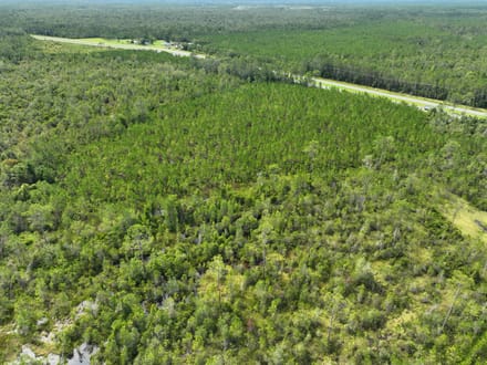 100+/- Ac Recreational Tract in Clinch County