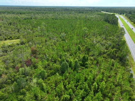 100+/- Ac Recreational Tract in Clinch County