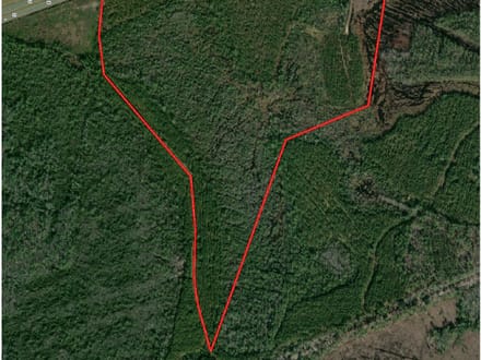 100+/- Ac Recreational Tract in Clinch County