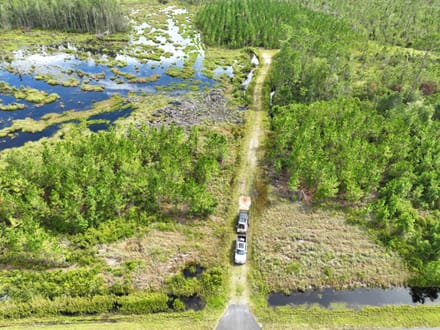 100+/- Ac Recreational Tract in Clinch County