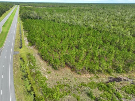 100+/- Ac Recreational Tract in Clinch County