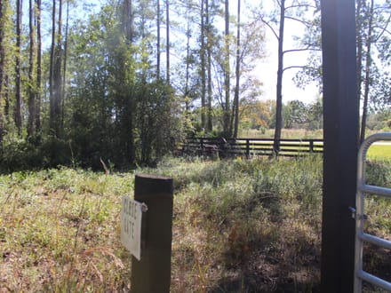 22.77 Acres For Sale In CamdenCounty