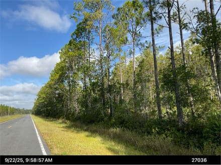 22.77 Acres For Sale In CamdenCounty