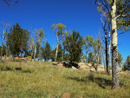 School House Hill Ranch