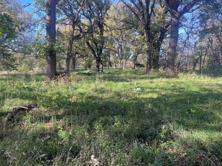 88075 523 Ave. - Verdigre, Nebraska