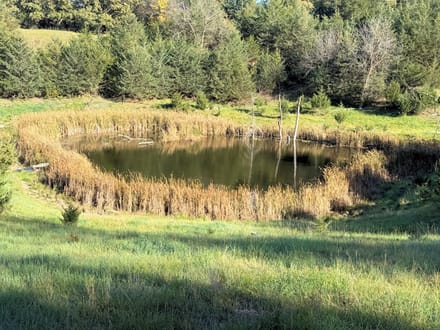 199 Acres +/- Boyd County - Nebraska Premier Hunting, Fishing & Recreational Property 