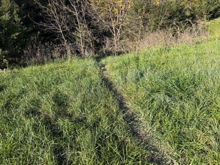 199 Acres +/- Boyd County - Nebraska Premier Hunting, Fishing & Recreational Property 