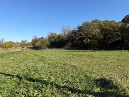 199 Acres +/- Boyd County - Nebraska Premier Hunting, Fishing & Recreational Property 