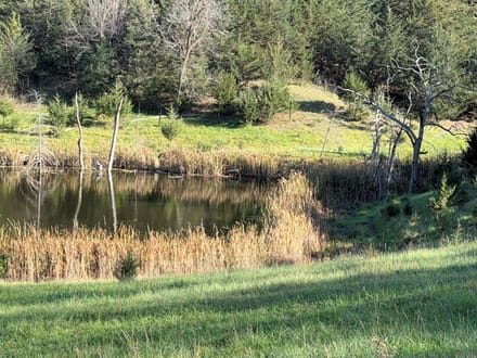 199 Acres +/- Boyd County - Nebraska Premier Hunting, Fishing & Recreational Property 