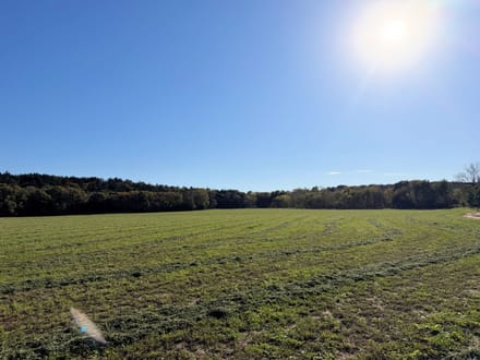 199 Acres +/- Boyd County - Nebraska Premier Hunting, Fishing & Recreational Property 