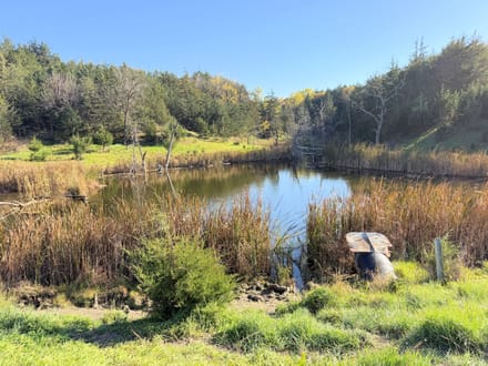 199 Acres +/- Boyd County - Nebraska Premier Hunting, Fishing & Recreational Property 